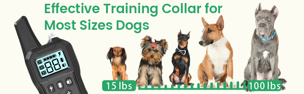 dog training collar