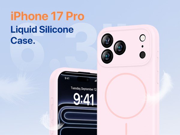 17 pro case