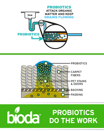 enzyme cleaner powers through soil