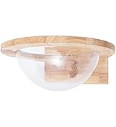 Synaiolma Space Capsule Style Transparent Cover Cat Bed,18 * 12 * 7in Wall Mounted Cats Shelf Hou...