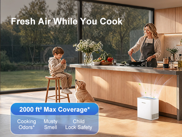 Air Purifier for home