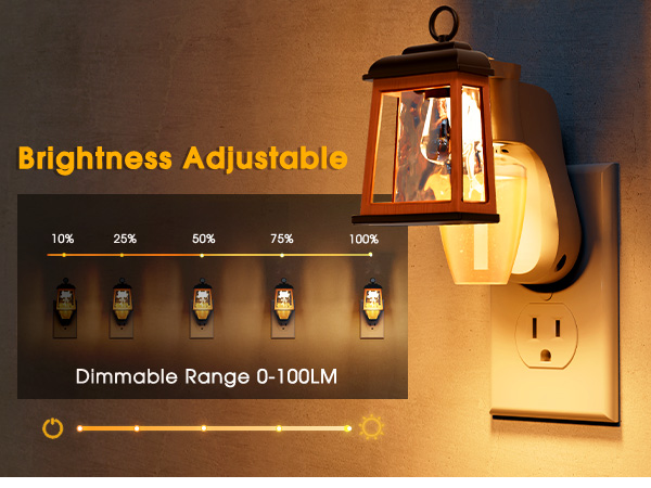 Wall Fragrance Plug in