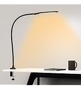 YOUKOYI Desk Lamp with Clamp, Swing Arm Lamp, Flexible Gooseneck Architect Table Lamp - Stepless ...