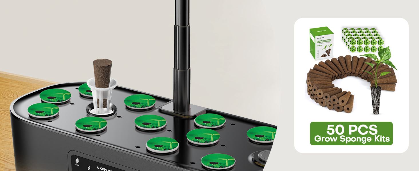 Hydroponic Farming