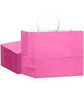qiqee 24PCS Large Gift Bag with Handles Bulk 13