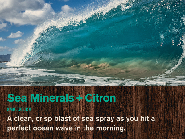 sea salt citron