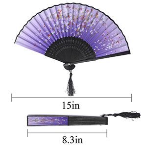 Folding Hand Fan for Women