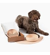 slower juguetes interactivo game balls presents bowels german shepherds french bulldog waggier biwl