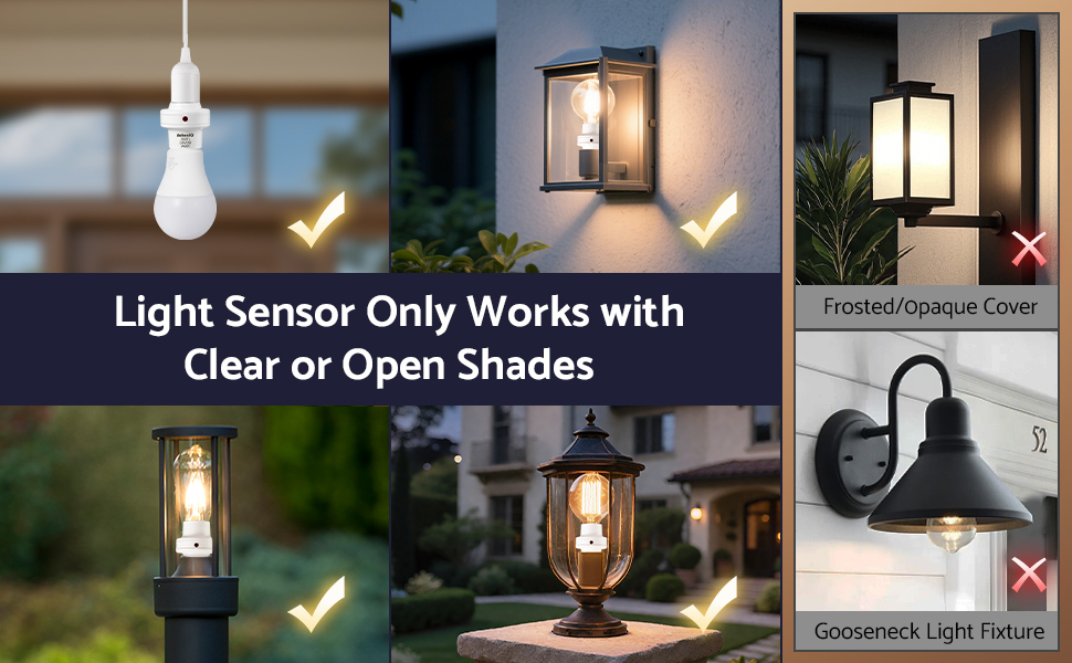 light sockets