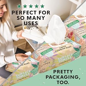 surface wipes bleach free disinfacting colorox lysol large thick dispose 100 count portable