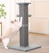 cat scratching post