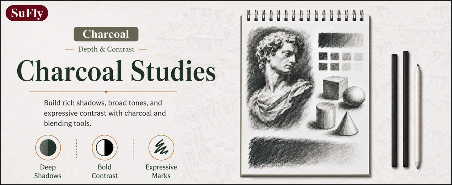 SuFly sketchbook showing a charcoal portrait, value blocks, geometric, shadows, blending tools.