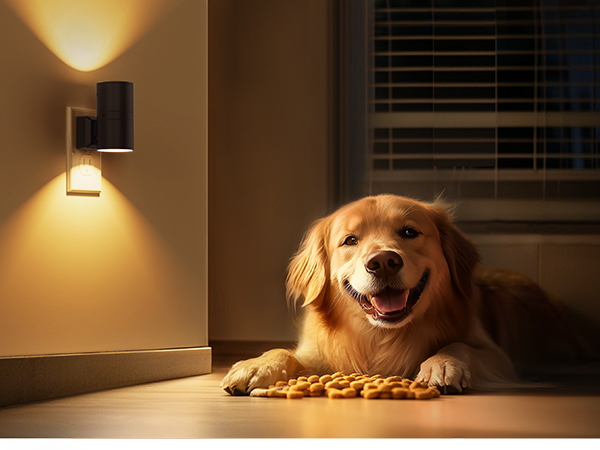 Pet-Safe night lights