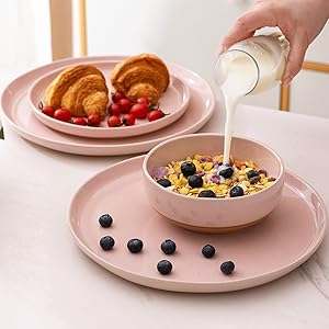 PINK DINNEREARE SET