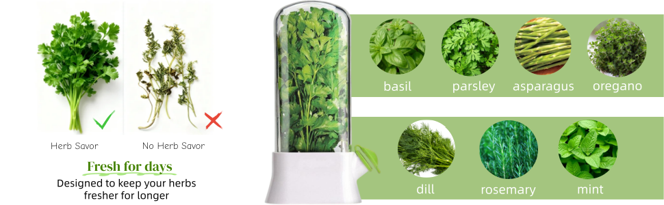 Herb Saver