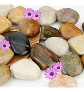 NUPICK 3lb River Rocks for Plants Indoor, 2-3Inch Mixed Pebbles for Vases Fillers, Decorative Gra...
