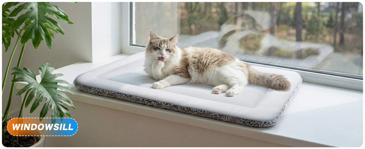self warming dog bed