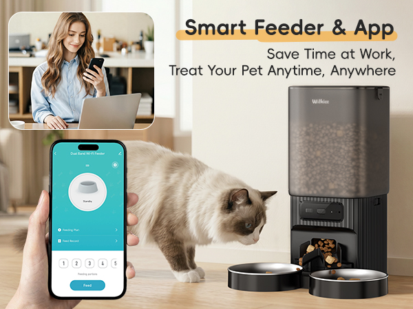 cat automatic feeder