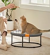 Feandrea Pet Bed, Elevated Cat Bed for Average Cats, Dog Bed for Miniature Dogs, with Removable W...