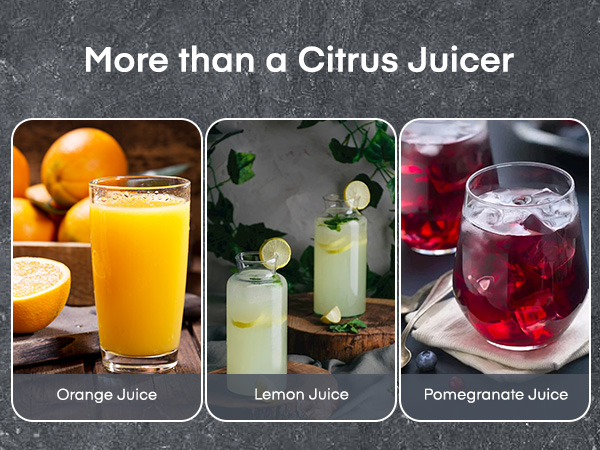 manual juicer