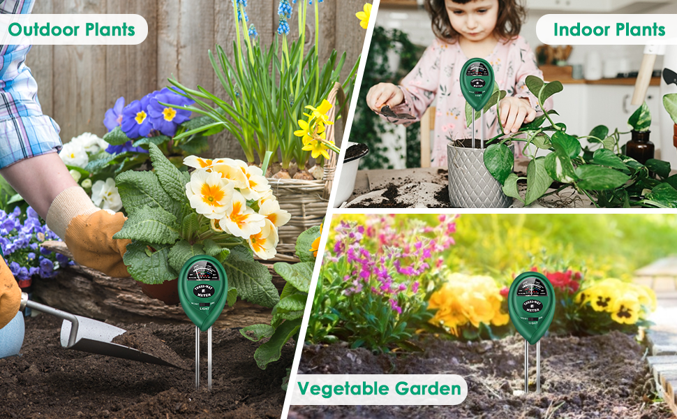 plant moisture meter