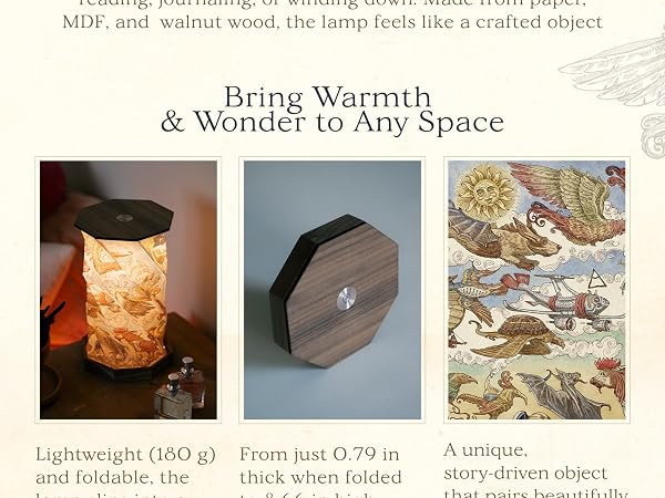 bring warmth and wonder to any space