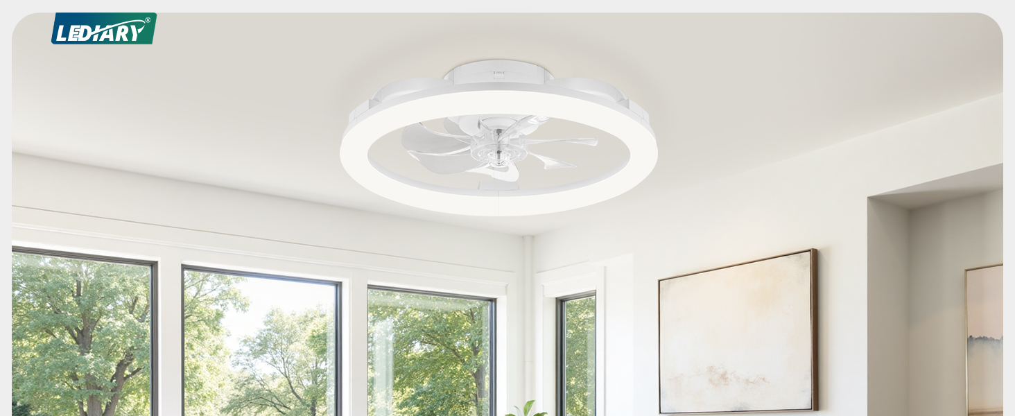 ceiling fans with lights