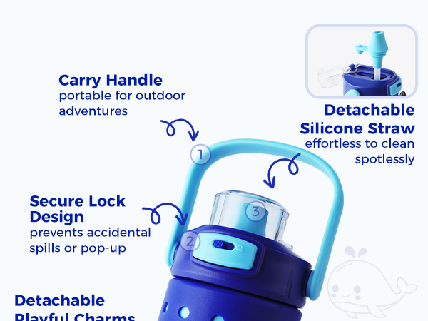 Insulated Water Bottle