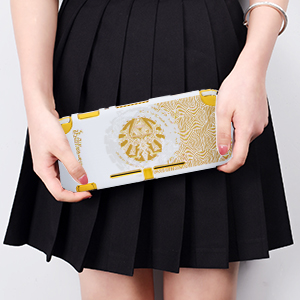 switch Lite case zelda