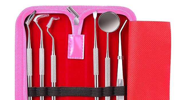 metal tooth picks dental