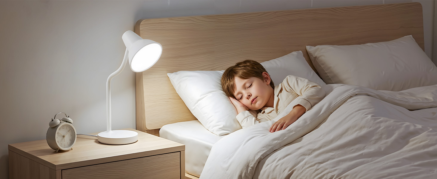 home office LED desk lamp