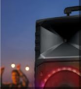 Big Rolling Speaker