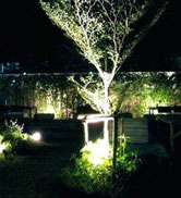 solar spotlights white