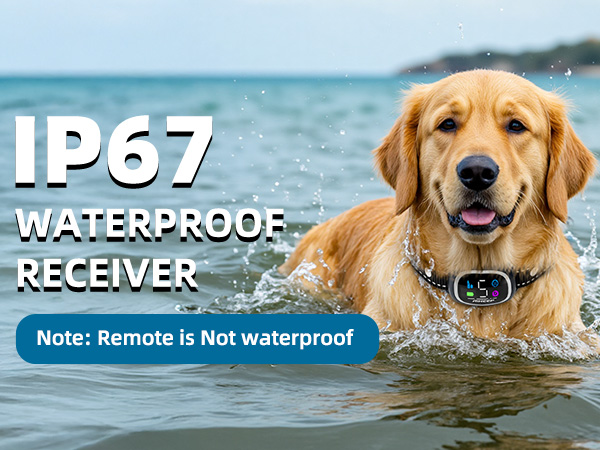 IP67 Waterproof Receiver