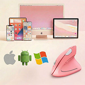 multi-operating system