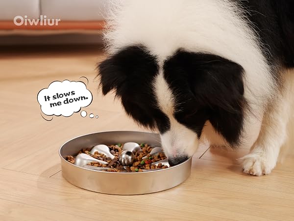 slow feeder dog bowls