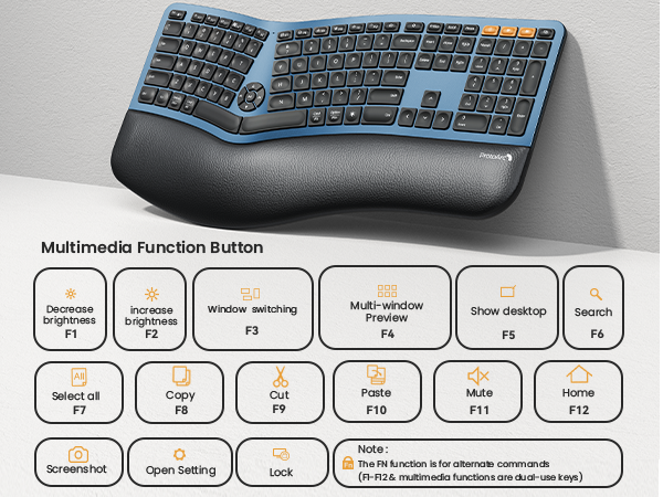 Full Size Backlit Ergo Keyboard