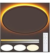 UprizeP Flush Mount Ceiling Light with Night Light, 23in LED Ceiling Lights with Remote Control, ...