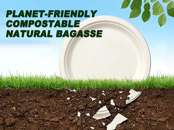Disposable Biodegradable Paper Plates