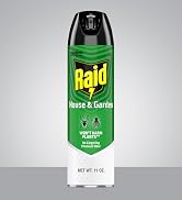 Raid