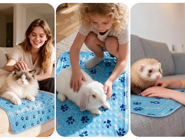 cooling mats for dogs