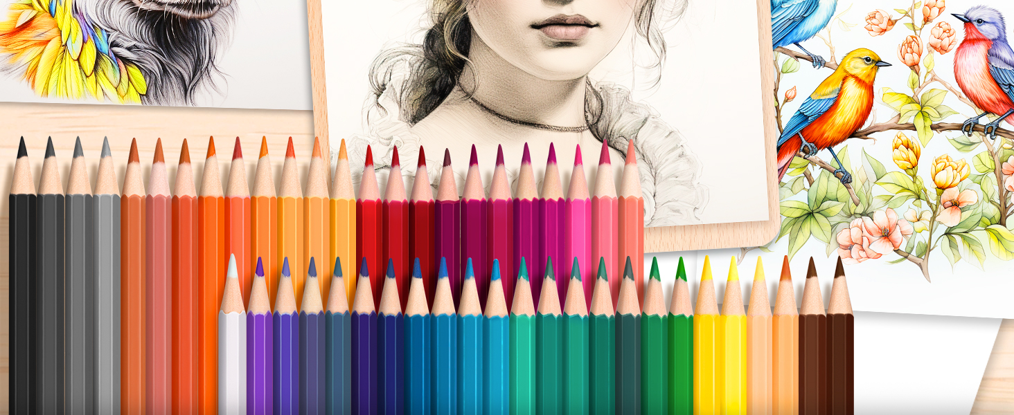 colored pencils for adult coloring books