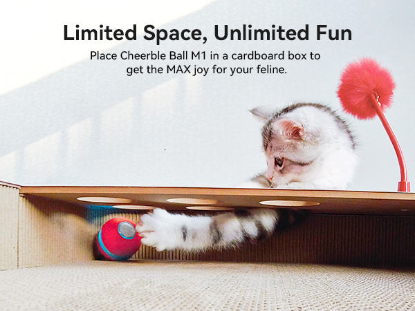 Cheerble Interactive Cat Toy
