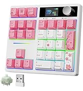 BOYI TD31Pro Mechanical Number Pad,Bluetooth5.0/2.4G/Type-C Wireless Numeric Keypad,RGB HotSwap N...