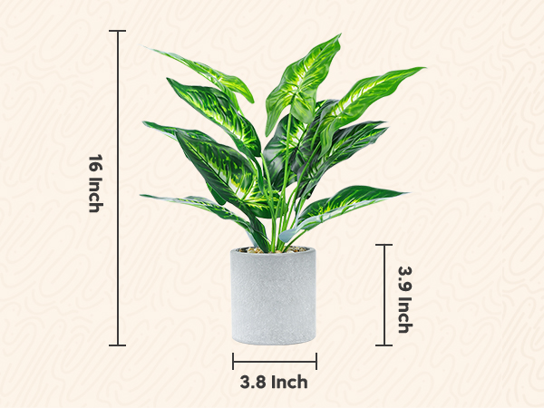 Fake Plants