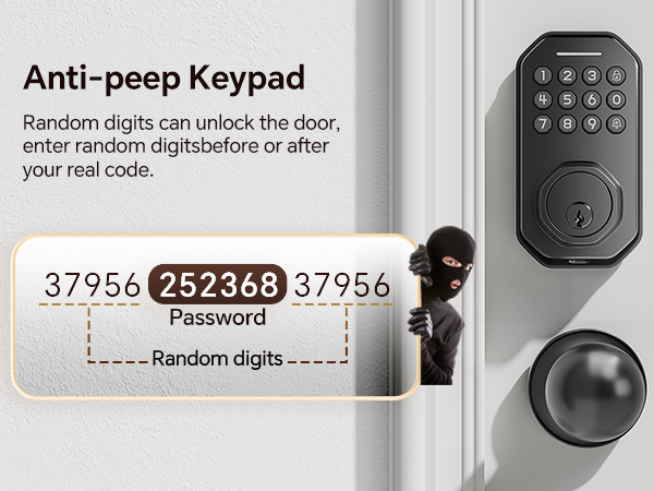 keyless entry door lock