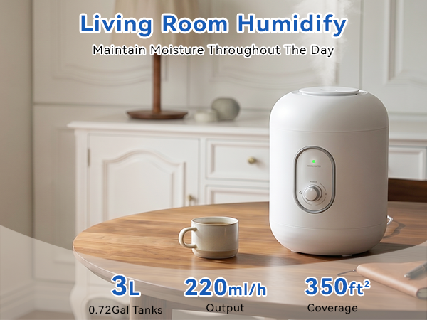 Living Room Humidifier