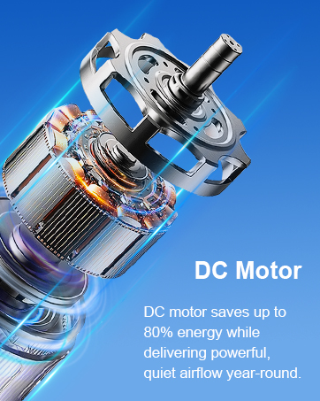 DC Motor