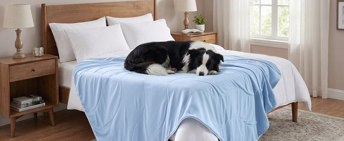 cooling blanket for dogs