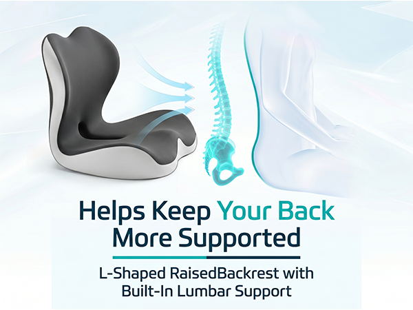 back support for office chair